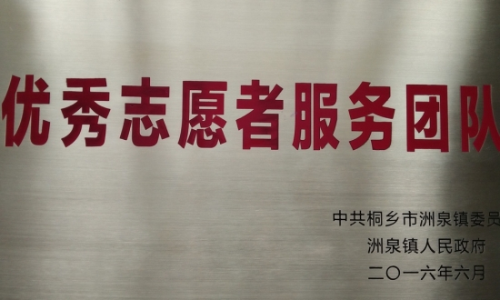 洲泉镇优良自愿者服务团队