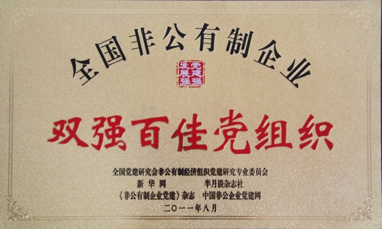 全国双强百佳党组织