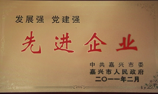 黄冈市双强先进企业