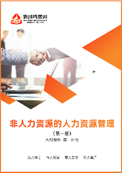 非人力资源的人力资源治理